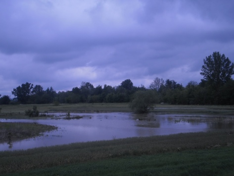 Други дан поплаве: 17. 05. 14. Звижд, исти предели, исти аутор снимака. Заветине