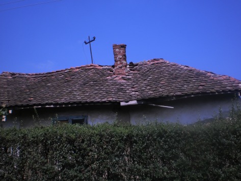Цветови из врта св. Петке (албум, трн и плави цвет), стара кућа