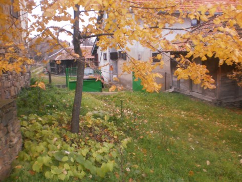 Слике са путовања по Србији: новембар 2014: Јесен у дворишту Весинаца, Радан